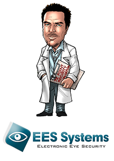 ees systems